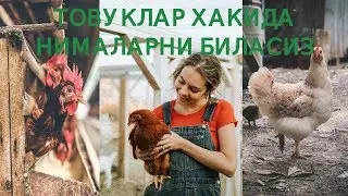ТОВУКЛАР ХАКИДА СИЗ БИЛМАГАН ФАКТЛАР