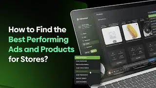 How to find the best-performing ads and products of stores using Adnosaur