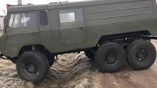 Тестовый прокат Лапочки