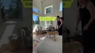 Create videos like this with Life Lapse App found in the App Store #stopmotion #shorts