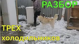 РАЗБОР ТРЕХ ХОЛОДИЛЬНИКОВ. ХОЛОДИЛЬНИК В МЕТАЛЛОЛОМ. ЦВЕТМЕТ ИЗ ХОЛОДИЛЬНИКА. ДОБЫВАЮ ЧЕРМЕТ.