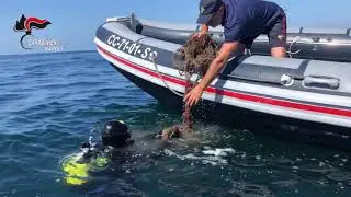 Blitz al Parco Sommerso della Gaiola: Denunciate 5 persone per pesca di frodo