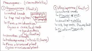 NEET Biology Series | U1C3 | PART 3 | Plant Kingdom | The Living World | NCERT | मराठी