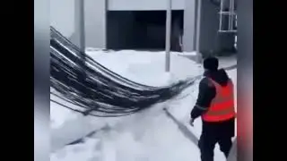 Иностранцы профессионалы в деле