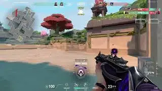become owl
