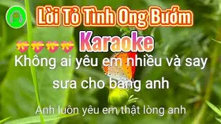 Lời Tỏ Tình Ong Bướm karaoke nhạc sống solo music ds