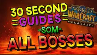 Molten Core - All Bosses - SoM - 30 Second Guides