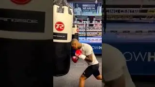 boxing training bag q 