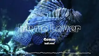 🎵 Gemini - half.cool 🎧 No Copyright Music 🎶 YouTube Audio Library