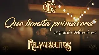 Que bonita primavera Relampaguitos