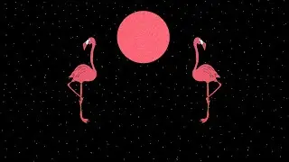 Parlour Panther - Hi-Lo [Official Lyric Video]