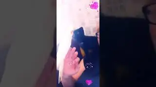 15 июня 2020 г.