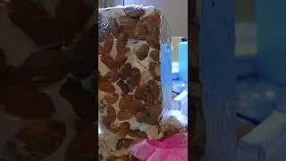 Наконец решили купить. Алжирская Нуга. Bonbons algériens 