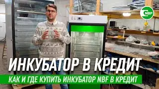 Инкубатор NBF в кредит