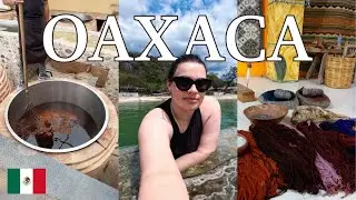 2 Days in Oaxaca | Mexico Travel Vlog