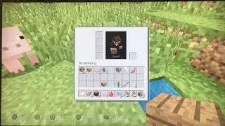 How to trigger people in Minecraft [1] (Survival Series)