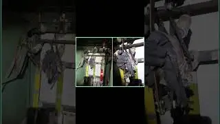 Трансформаторное масло для фритюра #топ #факты #африка #интересно