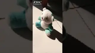 bagus gk?