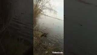 весенний канал в Новобайдаевке