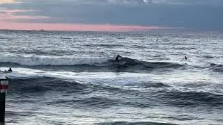 North Florida Surf And Beach Update 730am 10.18.25 
