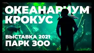 Выставка 