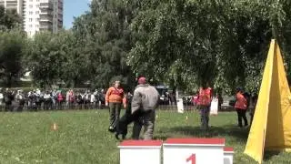 Собачий Спорт