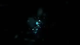 Sguschonka - Move It