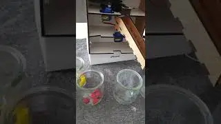 m&m's and skittles Sortings machine