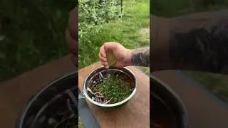 Топовий салатик до шашлику 👌👌👌