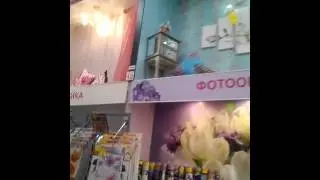 Сарай г. Ульяновск 1ч