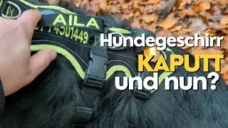 Hundeschirr kaputt, und nun?
