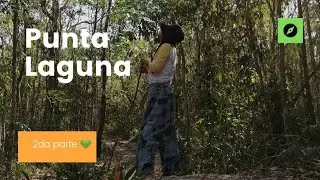 Punta laguna parte ll