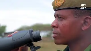 Protecting Kenya's Lions