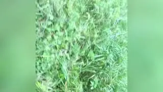 Небольшая разведка