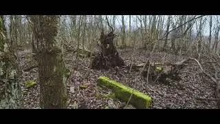 Dji action 4 and LightCut