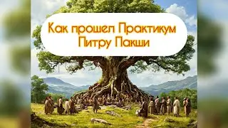 Как прошел Практикум Питру Пакши