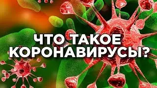 Коронавирус || Что такое коронавирус?? || Симптомы коронавируса