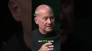 Discovering the Living Word: Christ Alive in Us