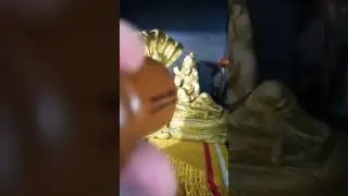 Om Jai Shree Lakshmi Narayana Hari Om 🕉  Tat Sat 🙏🏼 #lucena #shorts #Lakshmi