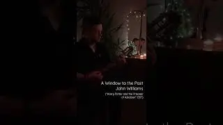 A Window to the Past (“Harry Potter” OST) - Ukulele