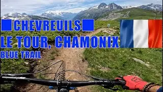 Variante Chevreuils Blue Trail at Le Tour, Chamonix, Mountain Biking, VTT Chamonix
