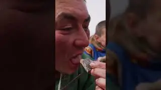 😳 Лепешки с кровью - деликатес в тундре. Что едят оленеводы - кочевники 