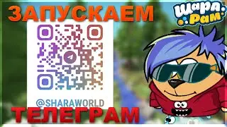 ЗАПУСКАЕМ ТЕЛЕГРАМ КАНАЛ