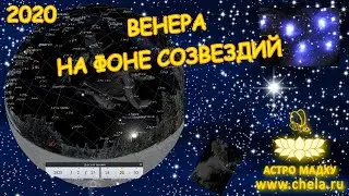 Когда можно наблюдать Венеру в 2020 году, на фоне каких звезд и планет// Венера в накшатрах