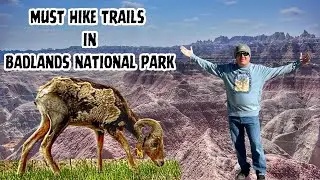 Exploring Notch & Door Trails: Nature's Ultimate Adventure!