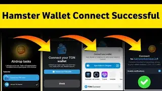 Hamster Kombat Wallet Connect Successful || Hamster Kombat Wallet Connect Problem Solve