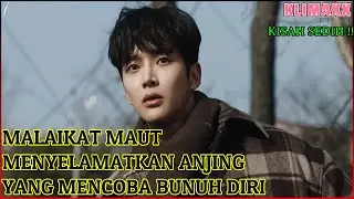 MALAIKAT MAUT TAMPAN PENYELAMAT JIWA - Alur Cerita Film