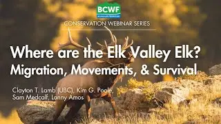 Migration, Movement, and Survival of the Elk Valley Population