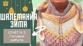 Готовая работа /Шалемания зима/ отчет 3 😉