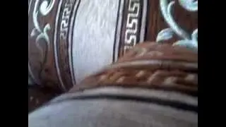 Мой Тоша 11